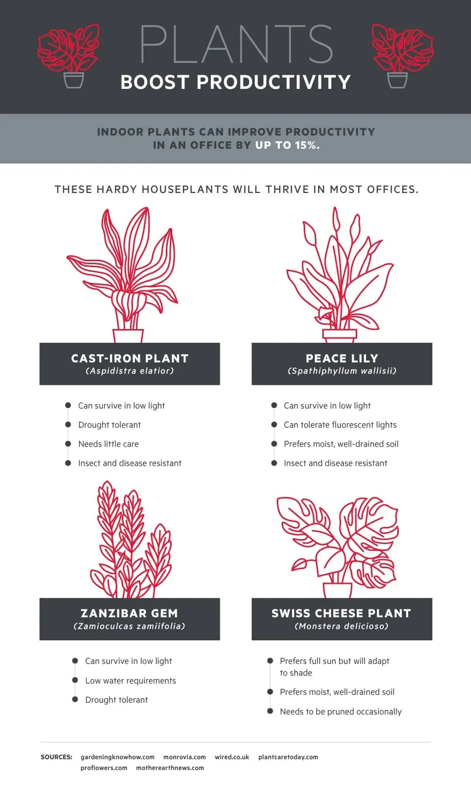 Plants Boost Productivity