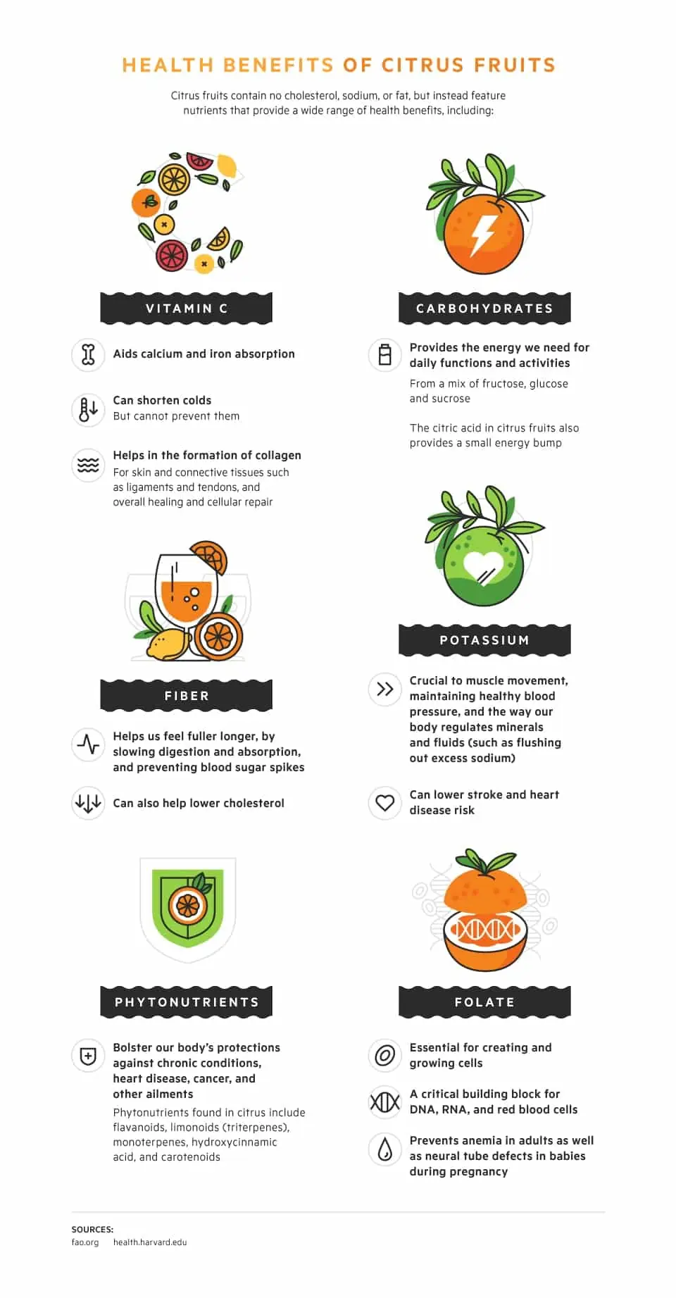 Health Benefits of Citrus Fruits